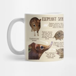 Animal Facts - Elephant Shrew Mug